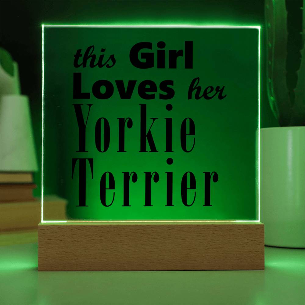 Yorkie Terrier - Square Acrylic Plaque With LED Base