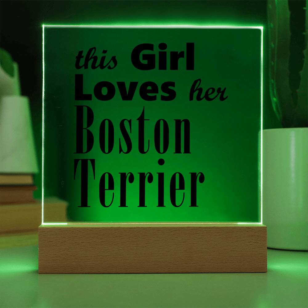 Boston Terrier - Square Acrylic Plaque With LED Base