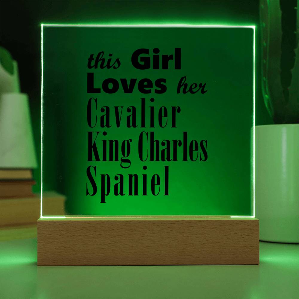 Cavalier King Charles Spaniel - Square Acrylic Plaque With LED Base