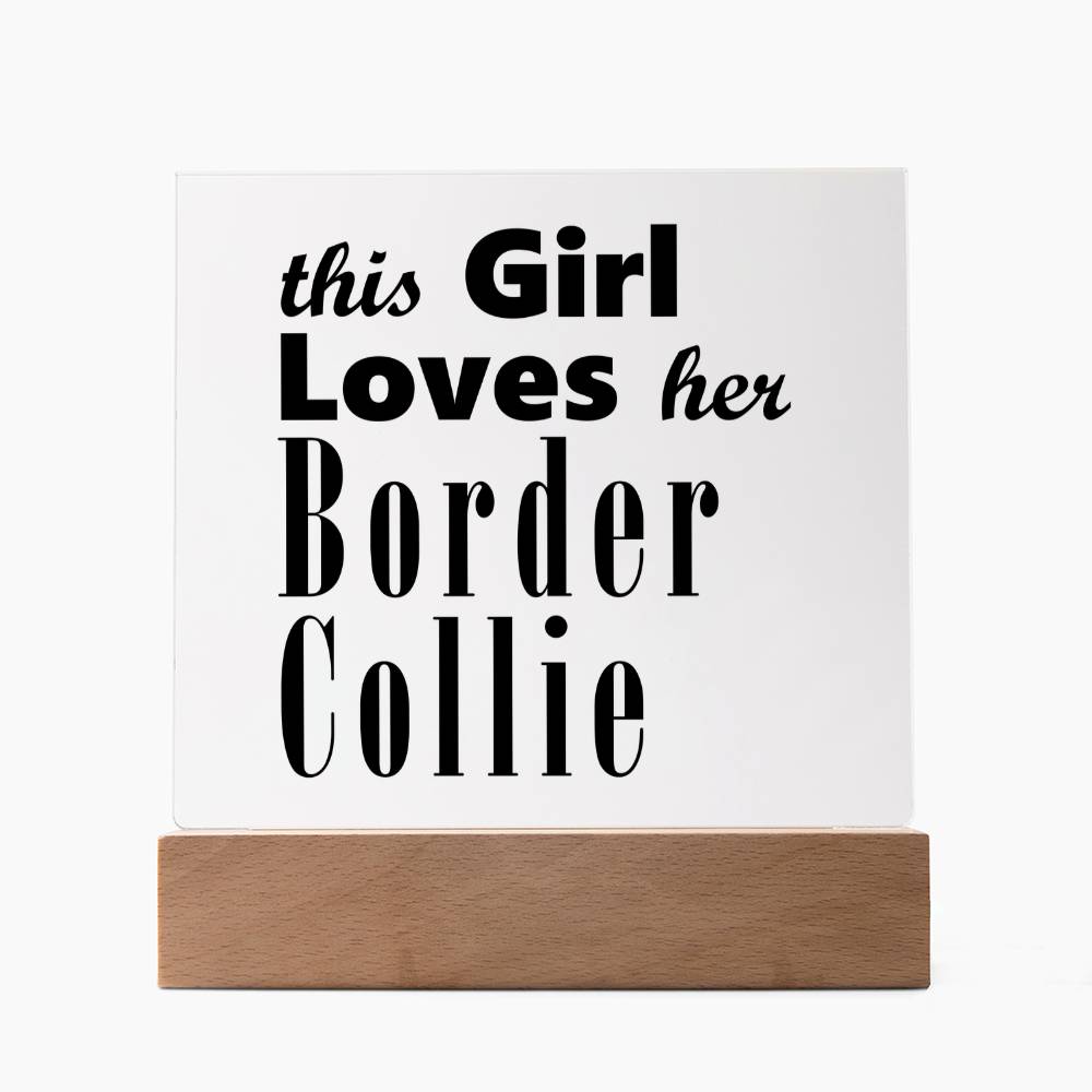 Border Collie - Square Acrylic Plaque With LED Base