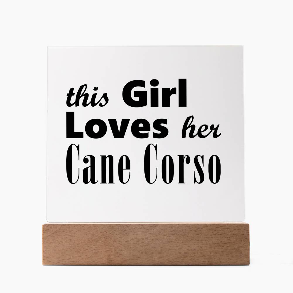 Cane Corso - Square Acrylic Plaque With LED Base
