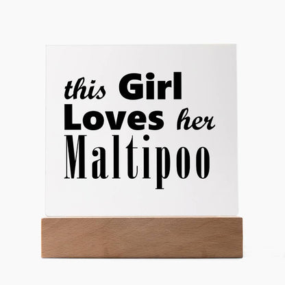 Maltipoo - Square Acrylic Plaque With LED Base
