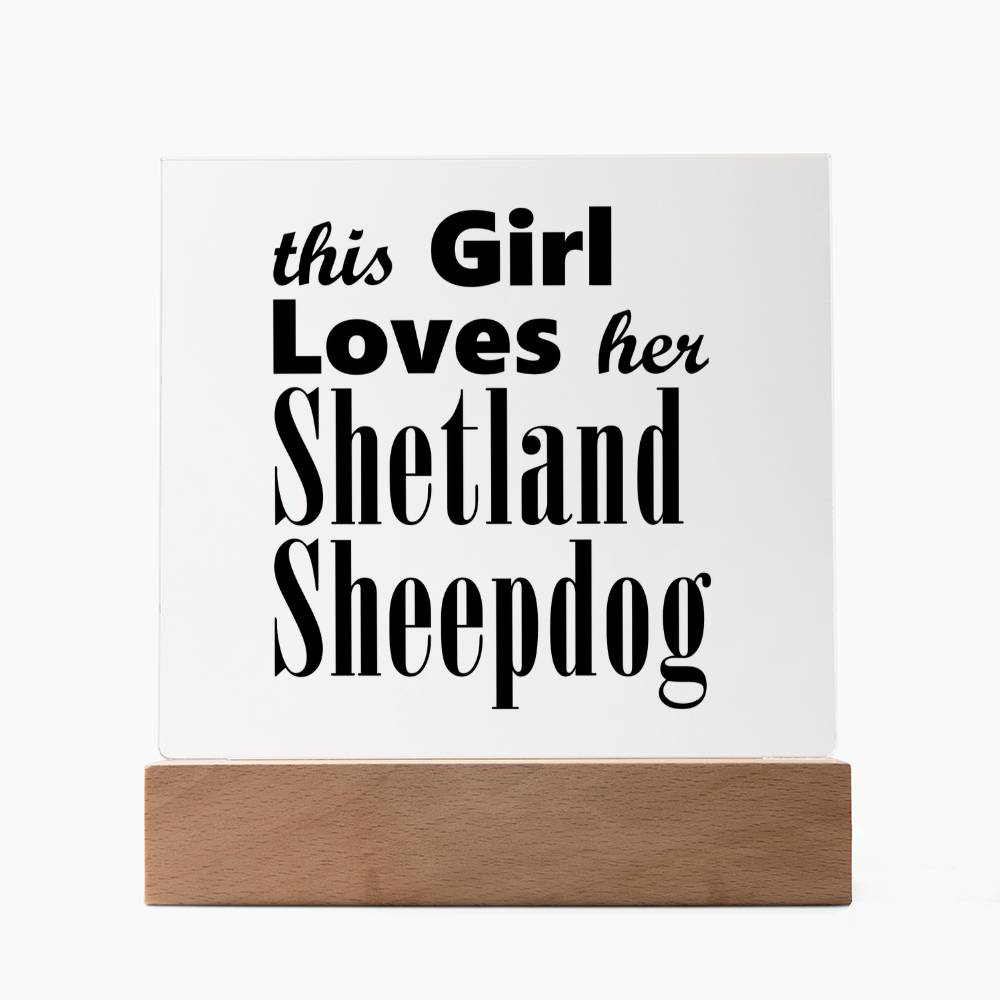 Shetland Sheepdog - Square Acrylic Plaque With LED Base