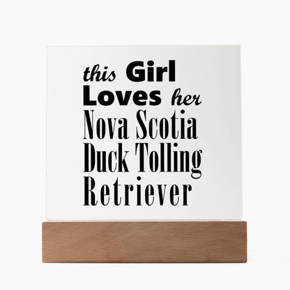 Nova Scotia Duck Tolling Retriever - Square Acrylic Plaque With LED Base