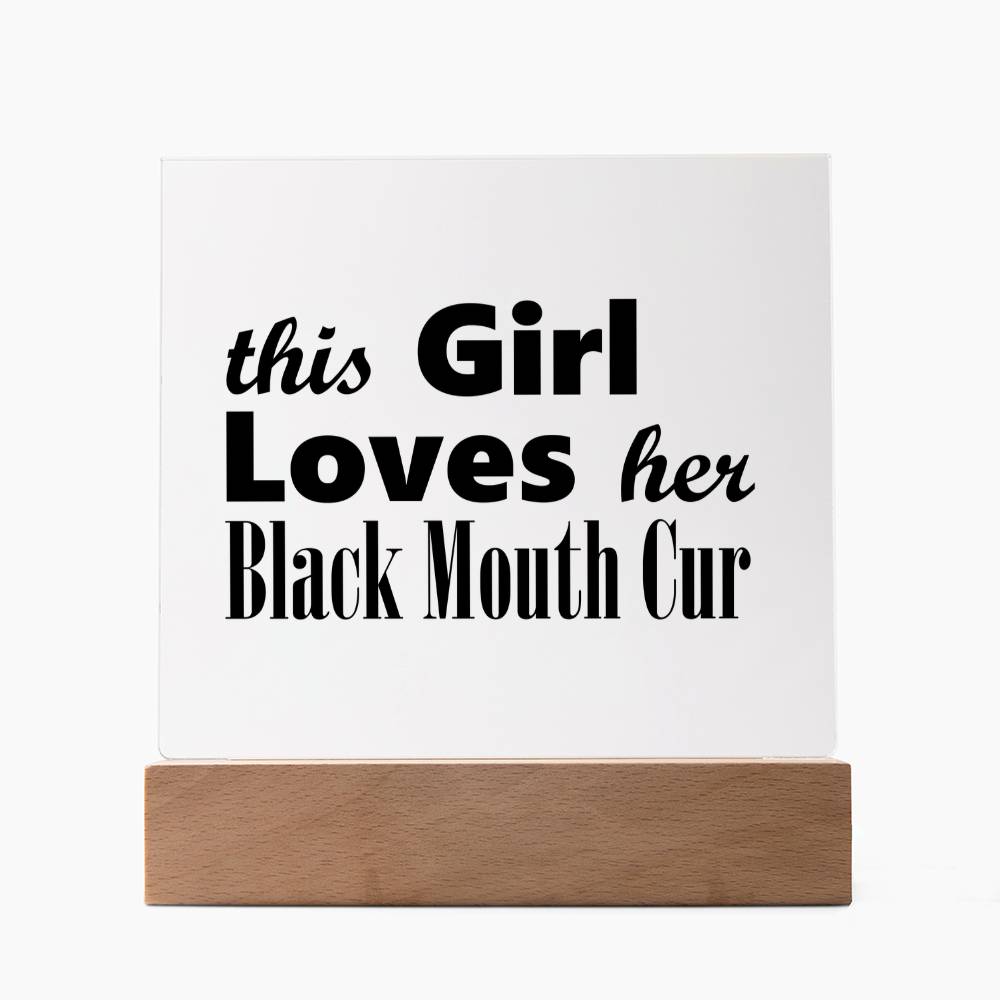 Black Mouth Cur - Square Acrylic Plaque With LED Base