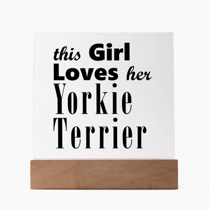 Yorkie Terrier - Square Acrylic Plaque With LED Base