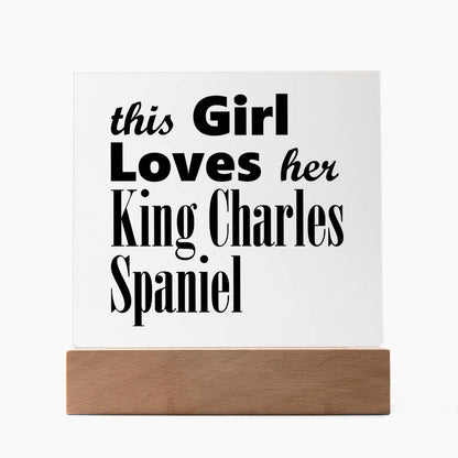 King Charles Spaniel - Square Acrylic Plaque With LED Base