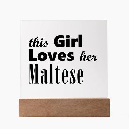 Maltese - Square Acrylic Plaque With LED Base