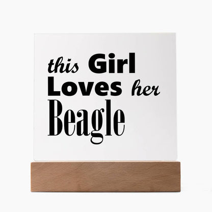 Beagle - Square Acrylic Plaque With LED Base