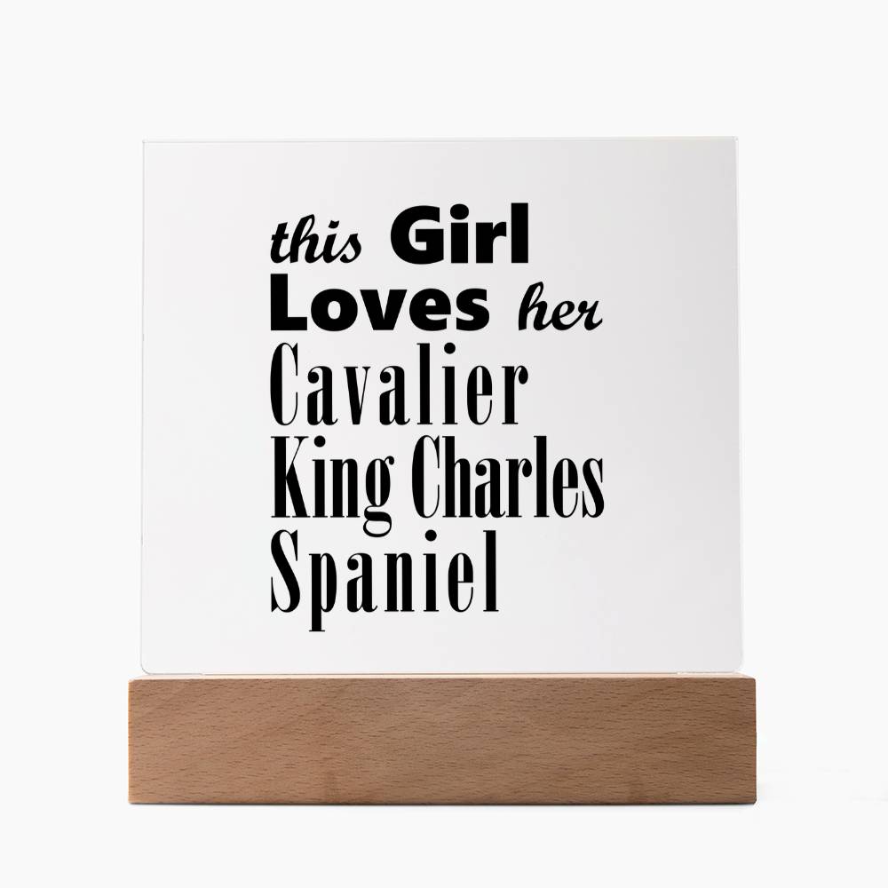 Cavalier King Charles Spaniel - Square Acrylic Plaque With LED Base