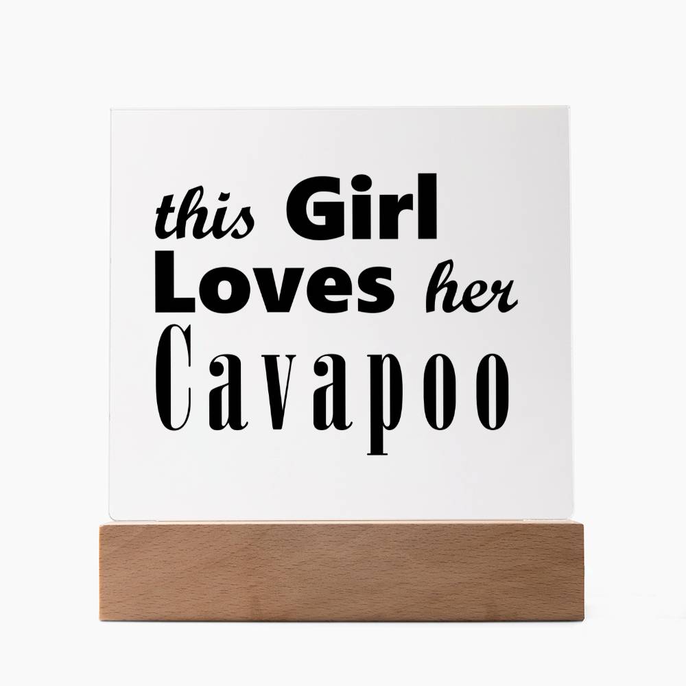 Cavapoo - Square Acrylic Plaque With LED Base