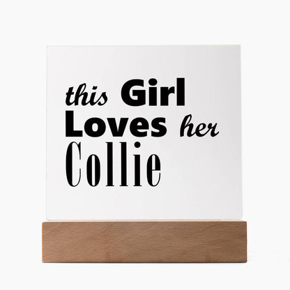 Collie - Square Acrylic Plaque With LED Base