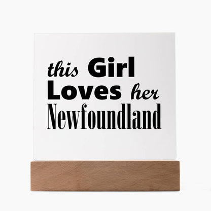 Newfoundland - Square Acrylic Plaque With LED Base