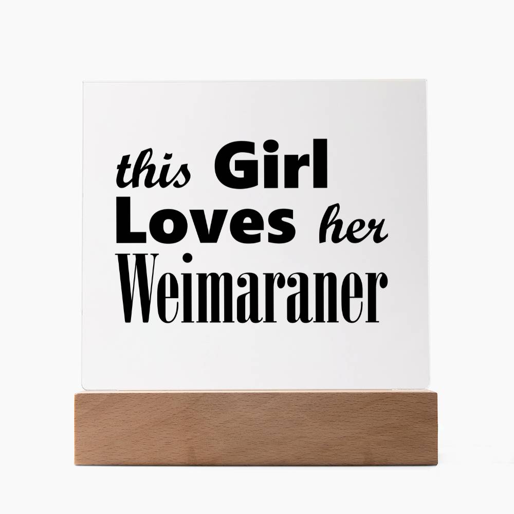 Weimaraner - Square Acrylic Plaque With LED Base