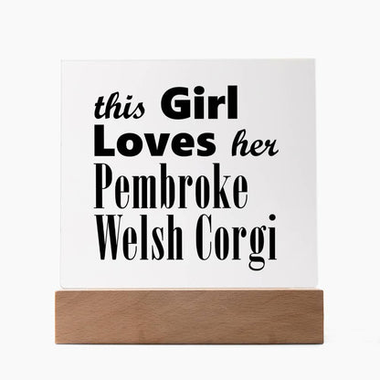 Pembroke Welsh Corgi - Square Acrylic Plaque With LED Base