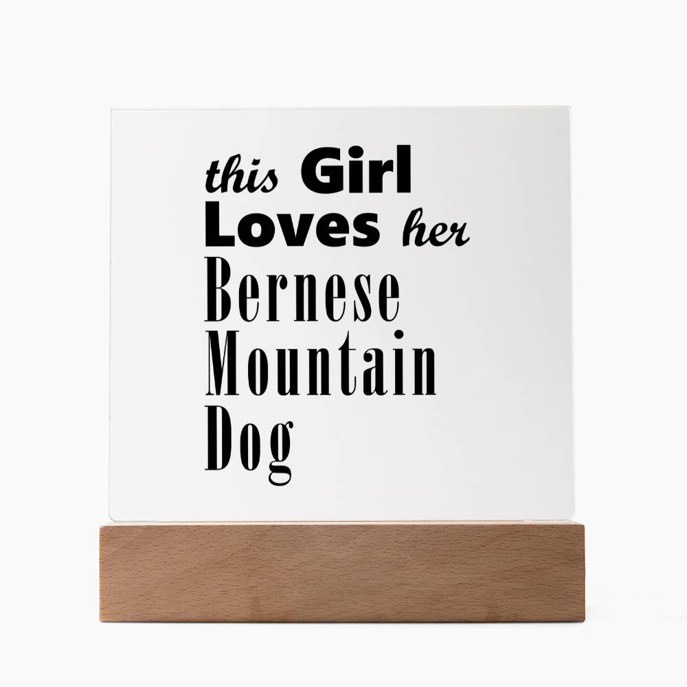 Bernese Mountain Dog - Square Acrylic Plaque With LED Base