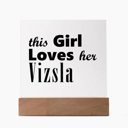 Vizsla - Square Acrylic Plaque With LED Base