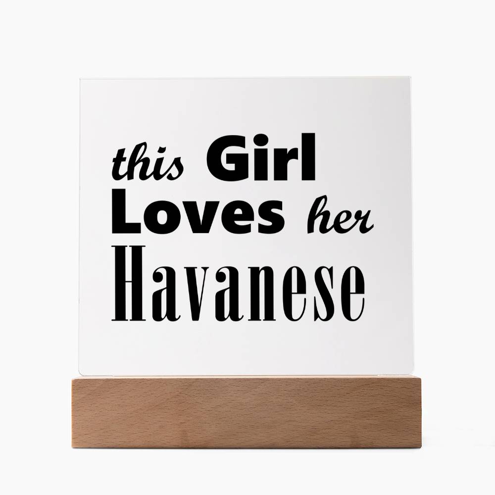 Havanese - Square Acrylic Plaque With LED Base