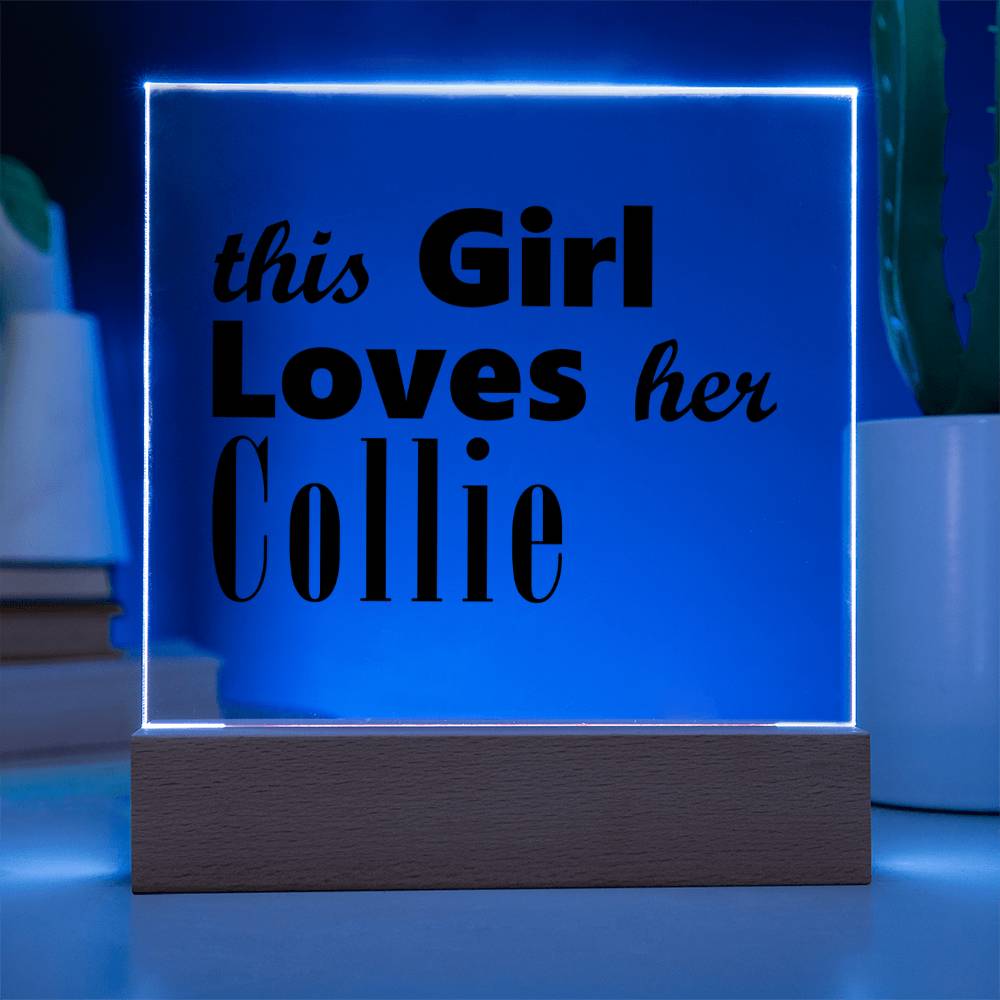 Collie - Square Acrylic Plaque With LED Base