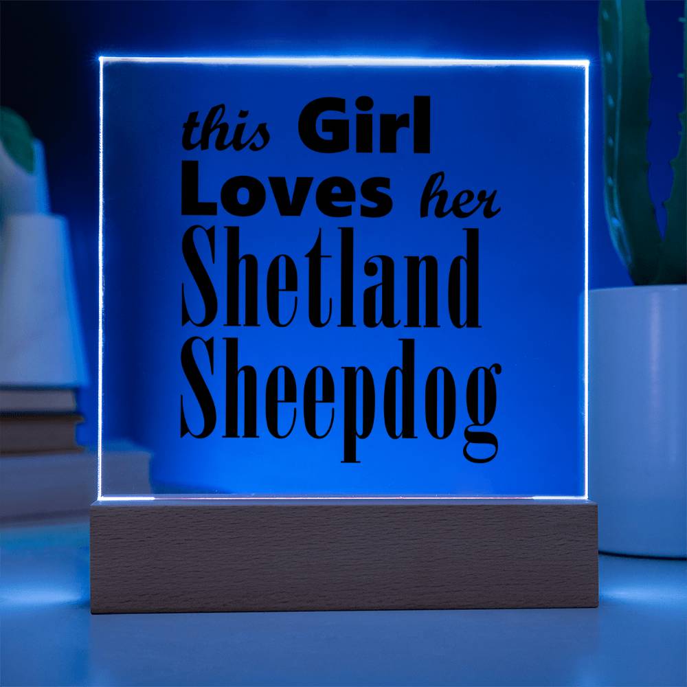 Shetland Sheepdog - Square Acrylic Plaque With LED Base