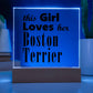 Boston Terrier - Square Acrylic Plaque With LED Base