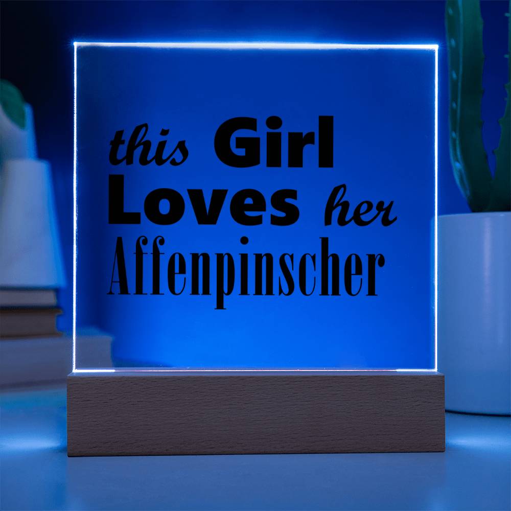 Affenpinscher - Square Acrylic Plaque With LED Base