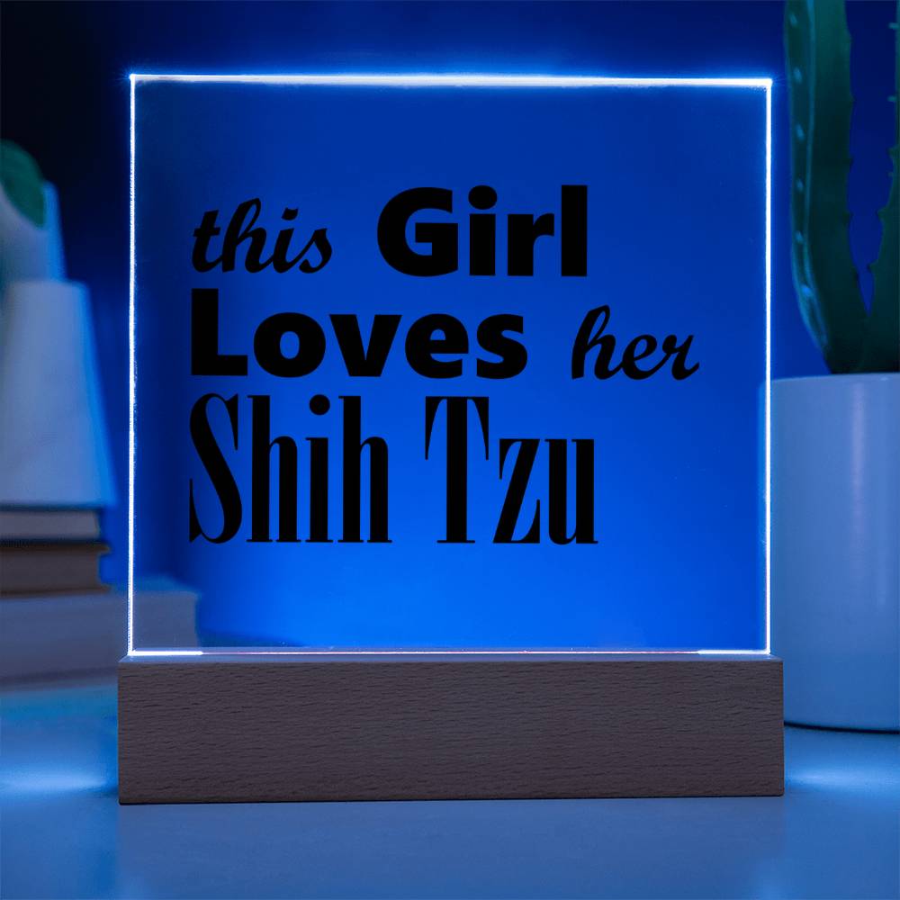 Shih Tzu - Square Acrylic Plaque With LED Base