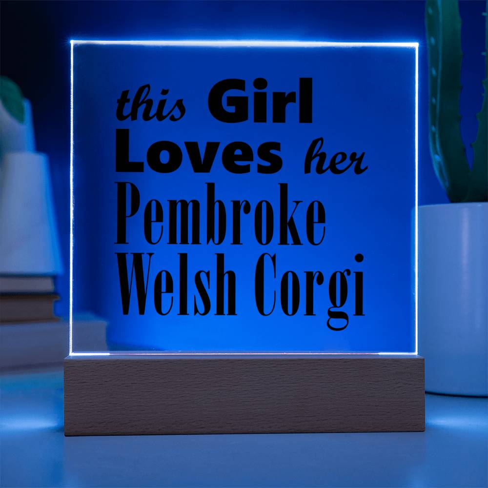 Pembroke Welsh Corgi - Square Acrylic Plaque With LED Base