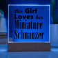 Miniature Schnauzer - Square Acrylic Plaque With LED Base