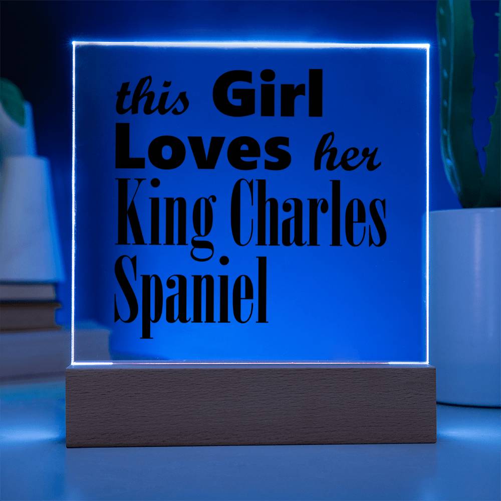 King Charles Spaniel - Square Acrylic Plaque With LED Base