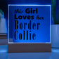 Border Collie - Square Acrylic Plaque With LED Base