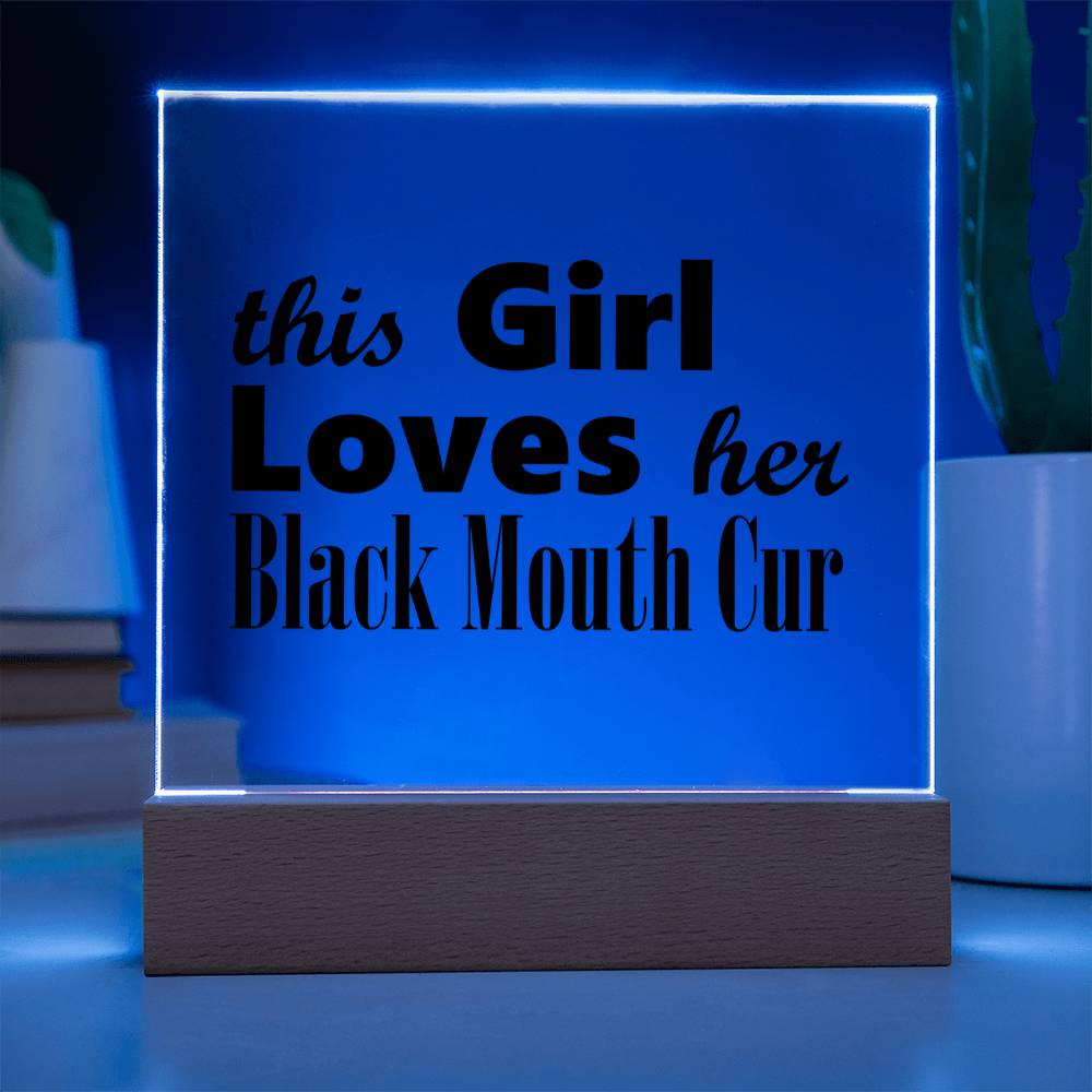 Black Mouth Cur - Square Acrylic Plaque With LED Base