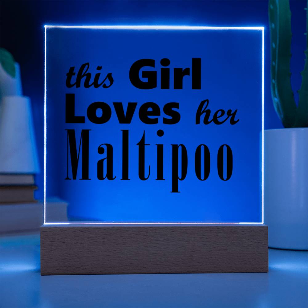 Maltipoo - Square Acrylic Plaque With LED Base