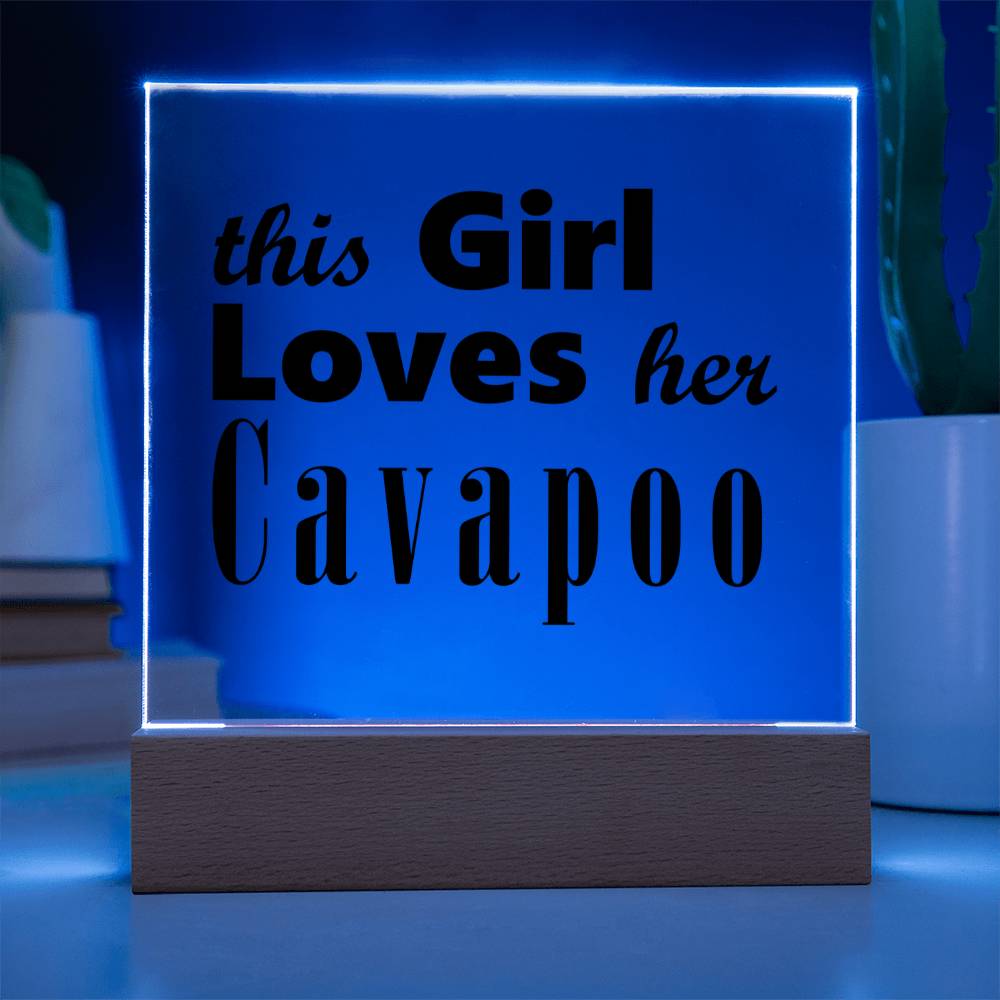 Cavapoo - Square Acrylic Plaque With LED Base