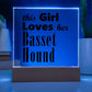 Basset Hound - Square Acrylic Plaque With LED Base