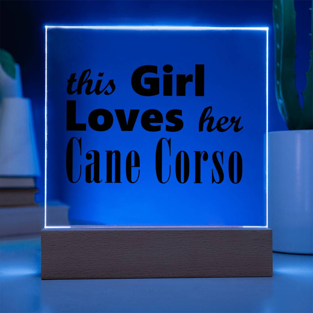 Cane Corso - Square Acrylic Plaque With LED Base