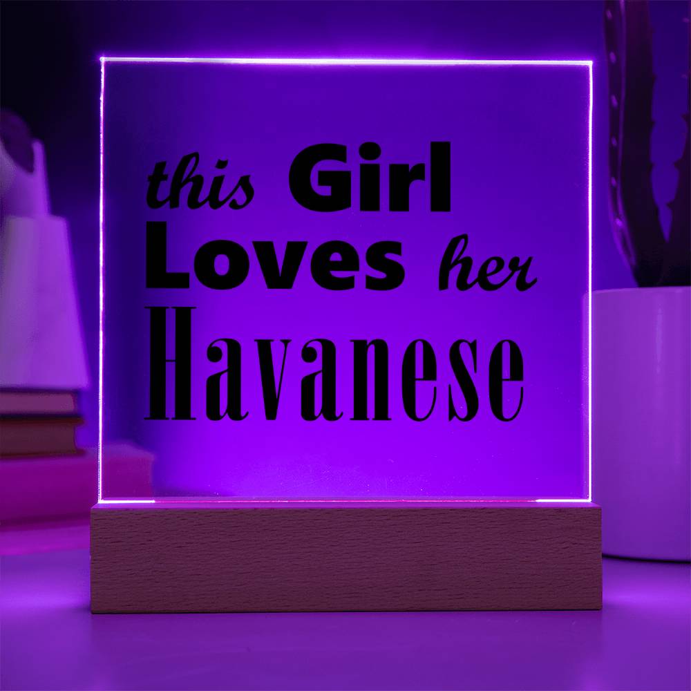 Havanese - Square Acrylic Plaque With LED Base