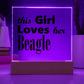 Beagle - Square Acrylic Plaque With LED Base