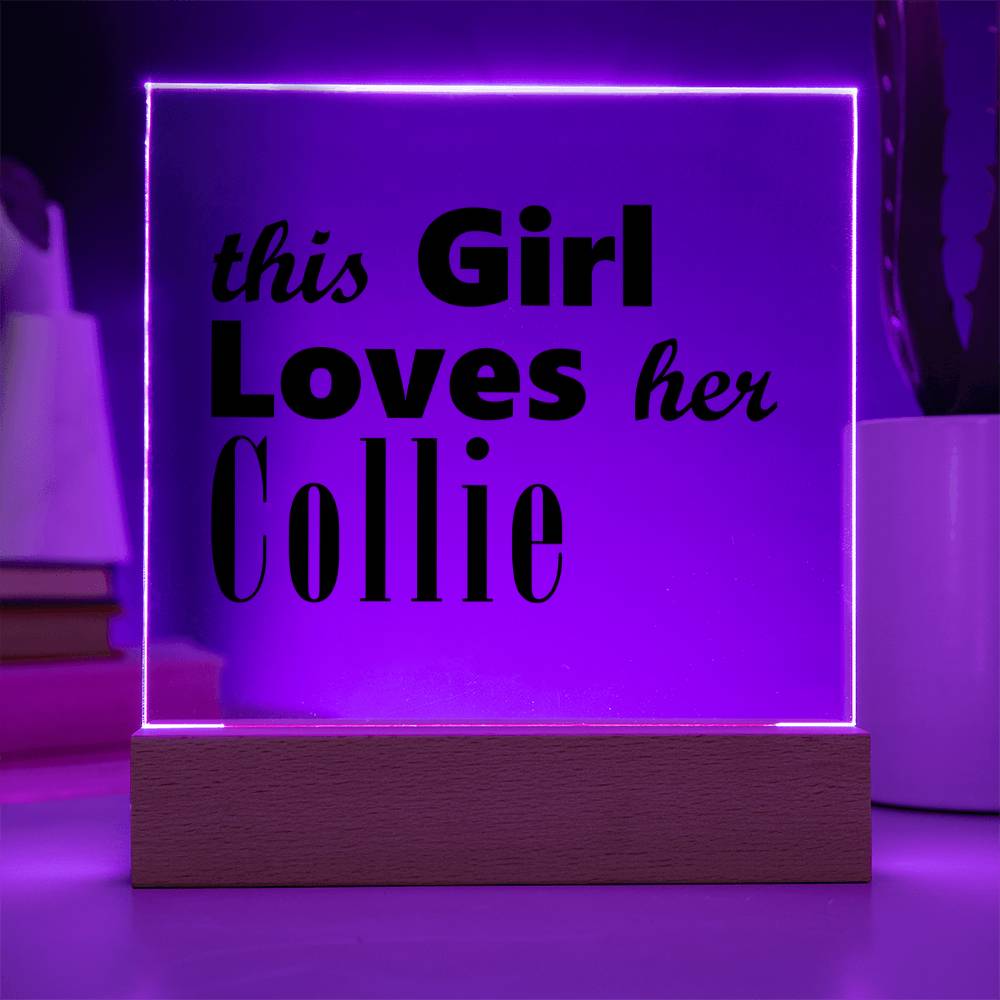Collie - Square Acrylic Plaque With LED Base