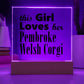 Pembroke Welsh Corgi - Square Acrylic Plaque With LED Base