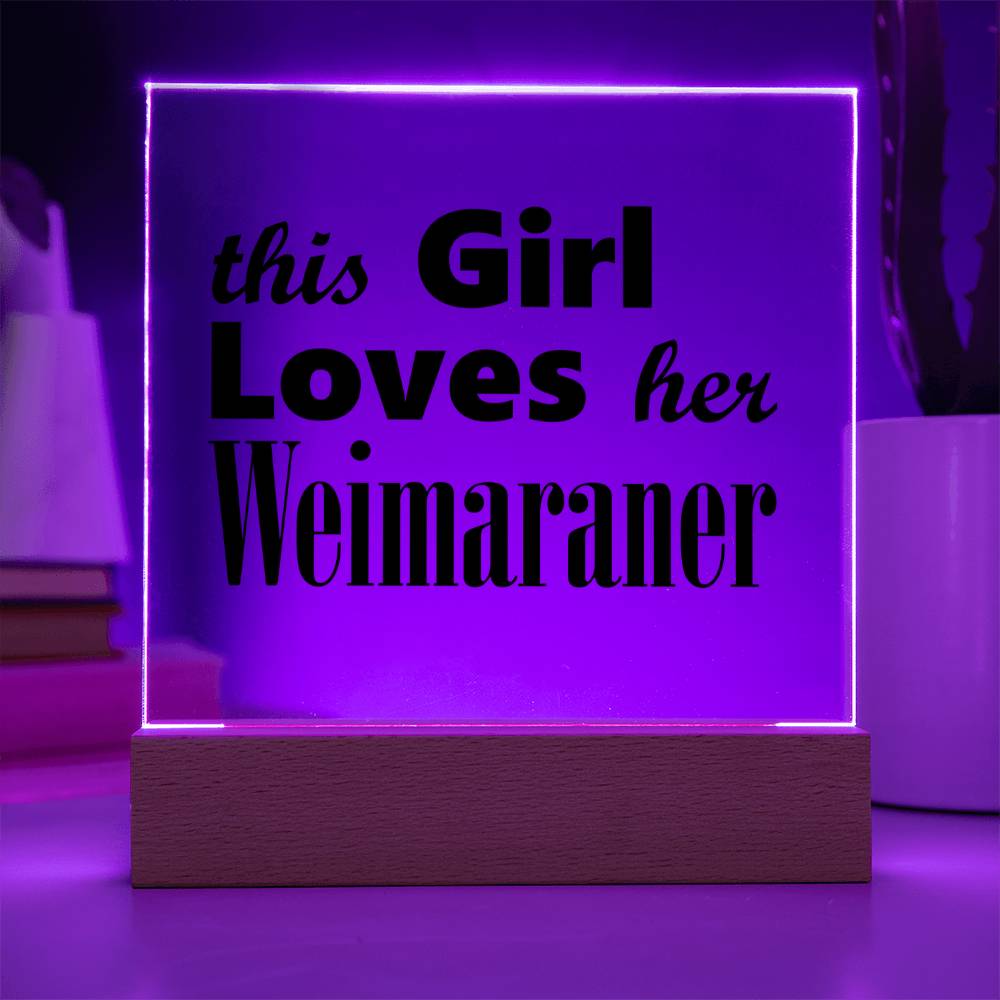Weimaraner - Square Acrylic Plaque With LED Base