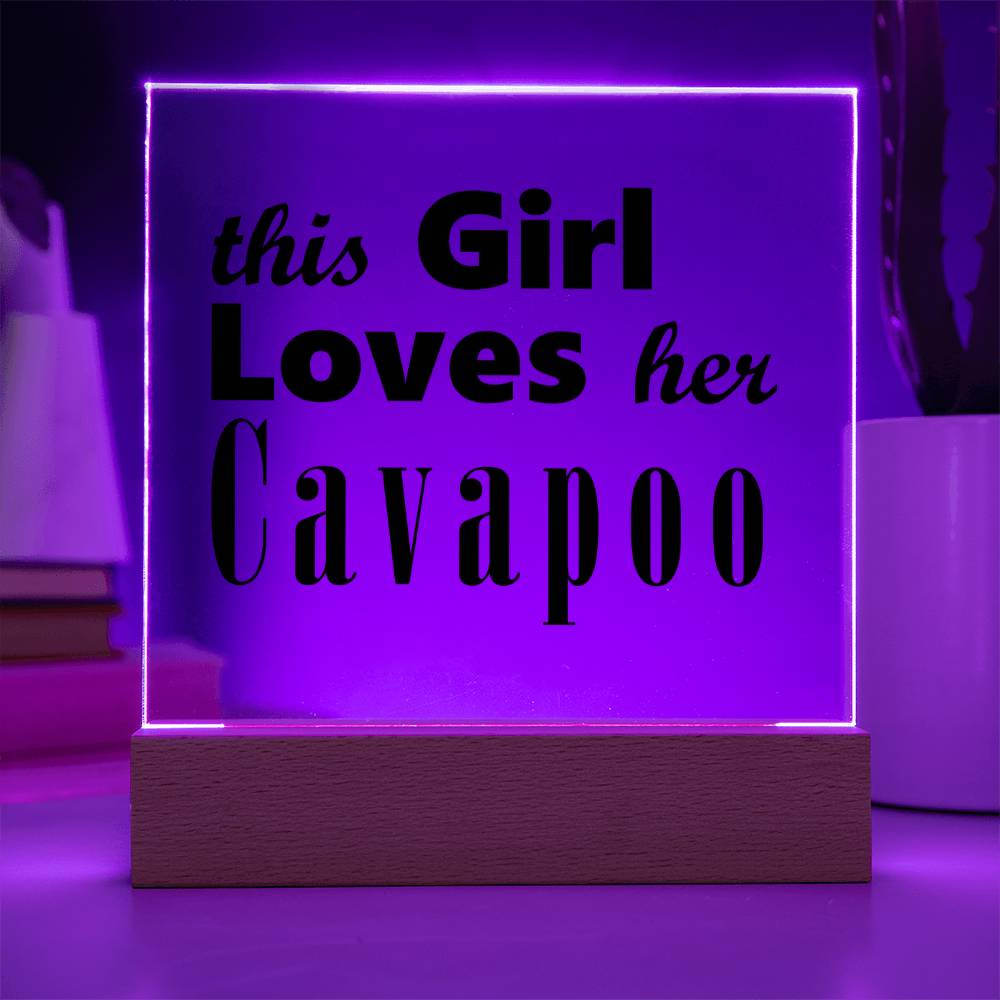 Cavapoo - Square Acrylic Plaque With LED Base