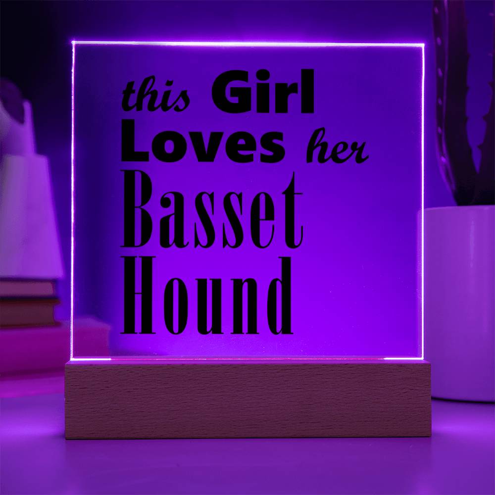 Basset Hound - Square Acrylic Plaque With LED Base