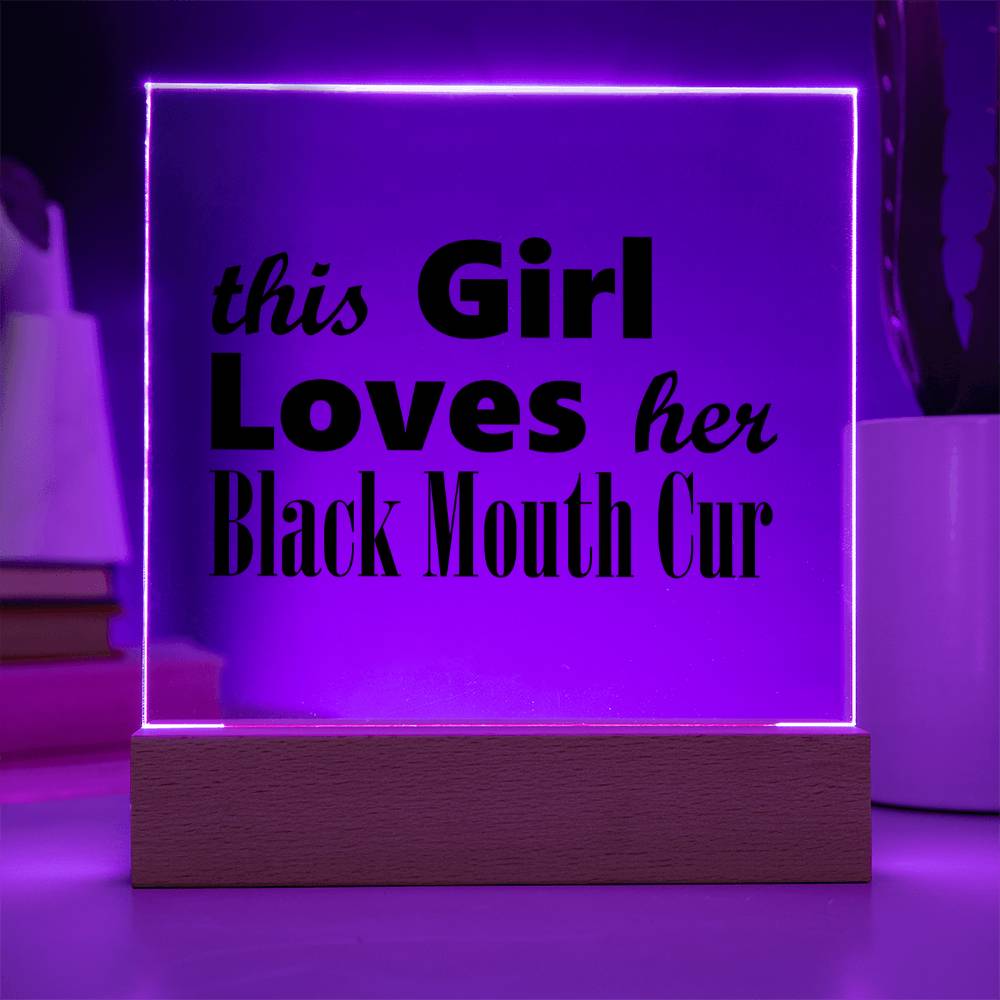 Black Mouth Cur - Square Acrylic Plaque With LED Base
