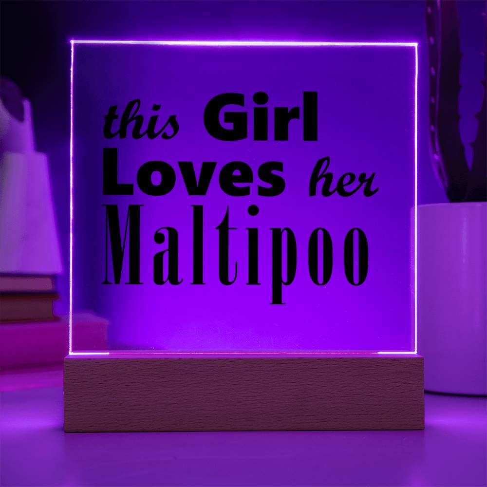 Maltipoo - Square Acrylic Plaque With LED Base
