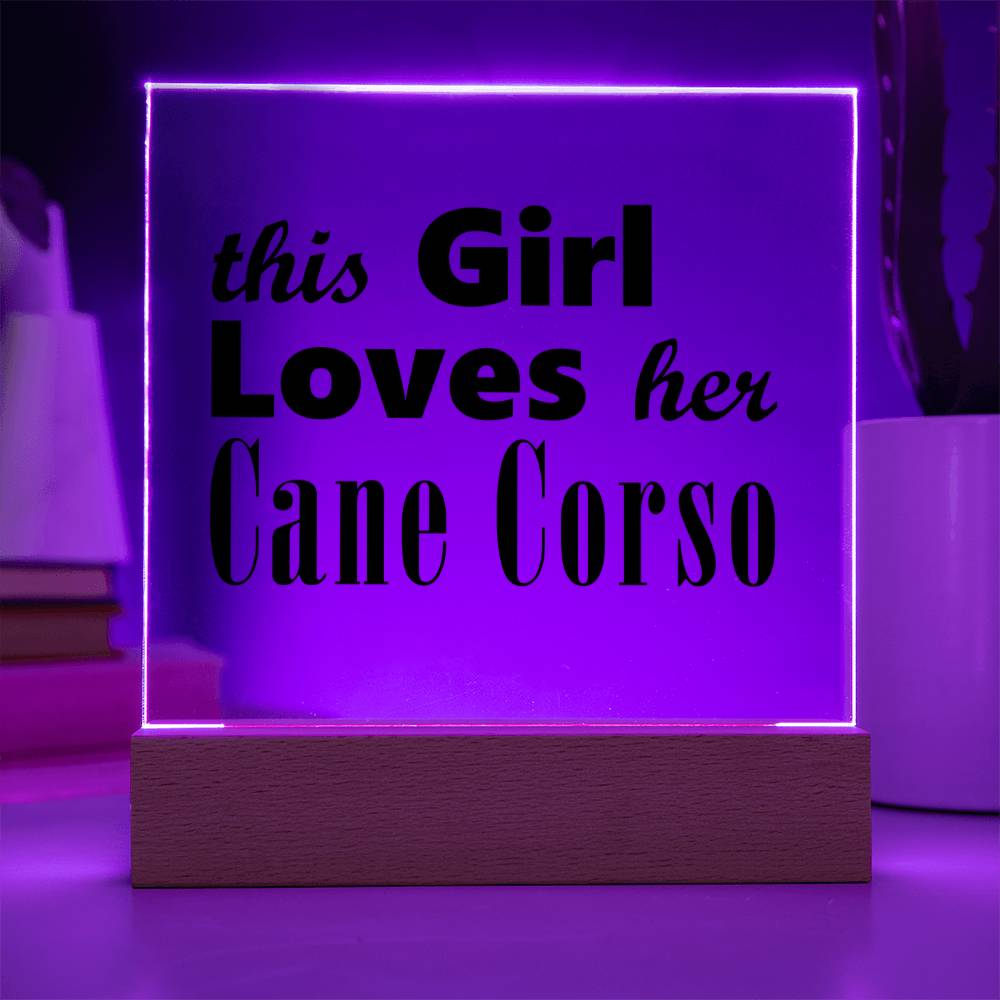 Cane Corso - Square Acrylic Plaque With LED Base