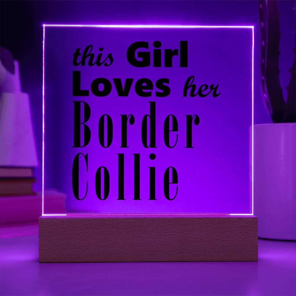 Border Collie - Square Acrylic Plaque With LED Base