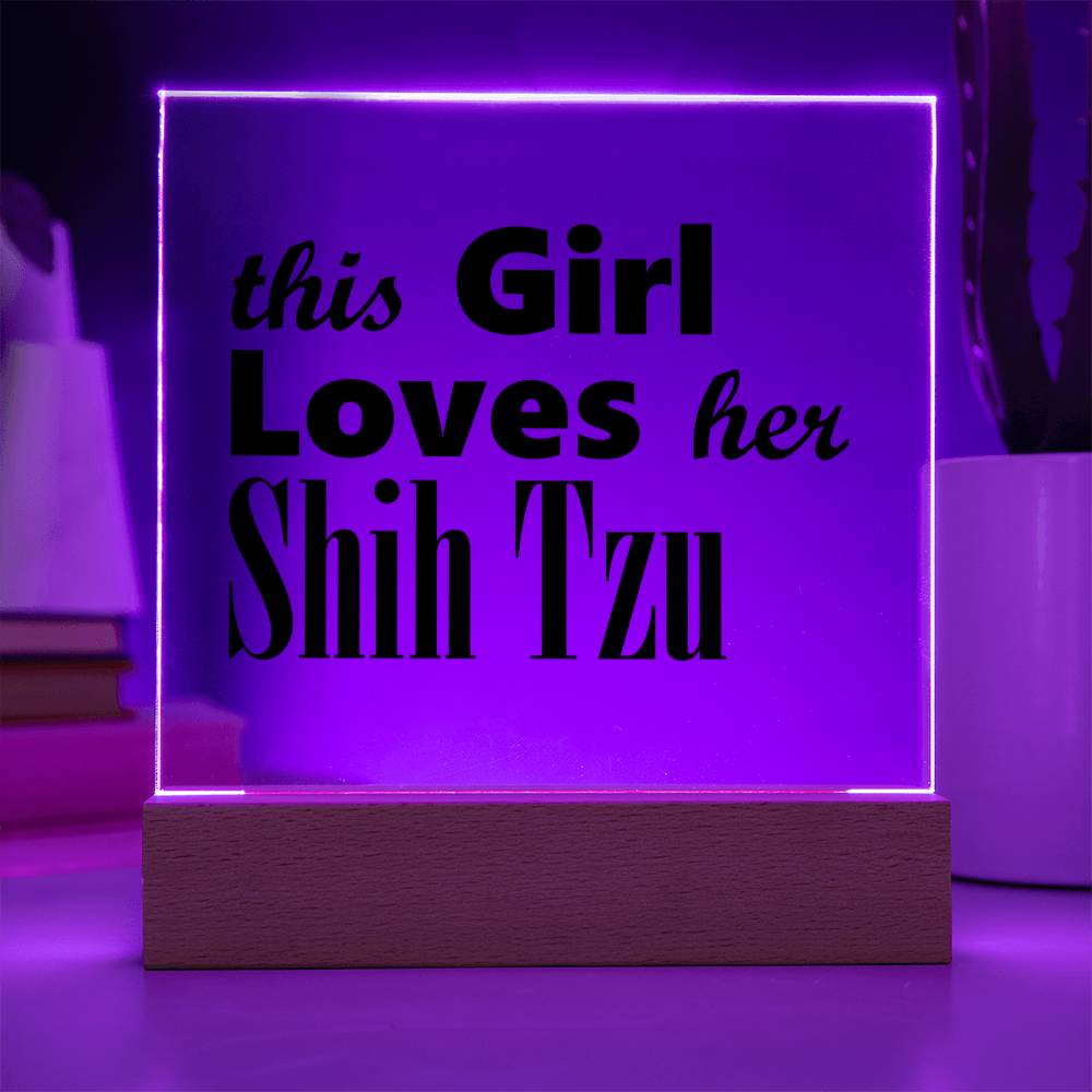 Shih Tzu - Square Acrylic Plaque With LED Base
