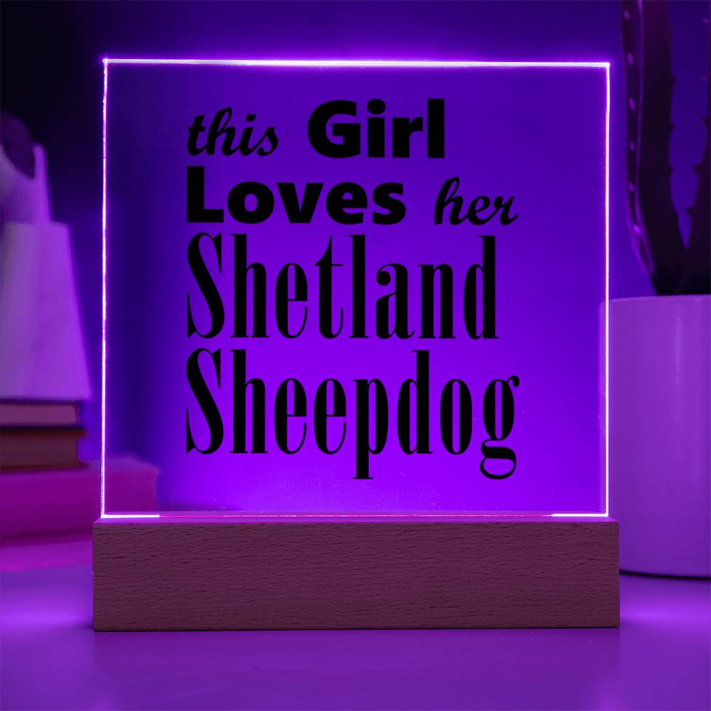 Shetland Sheepdog - Square Acrylic Plaque With LED Base