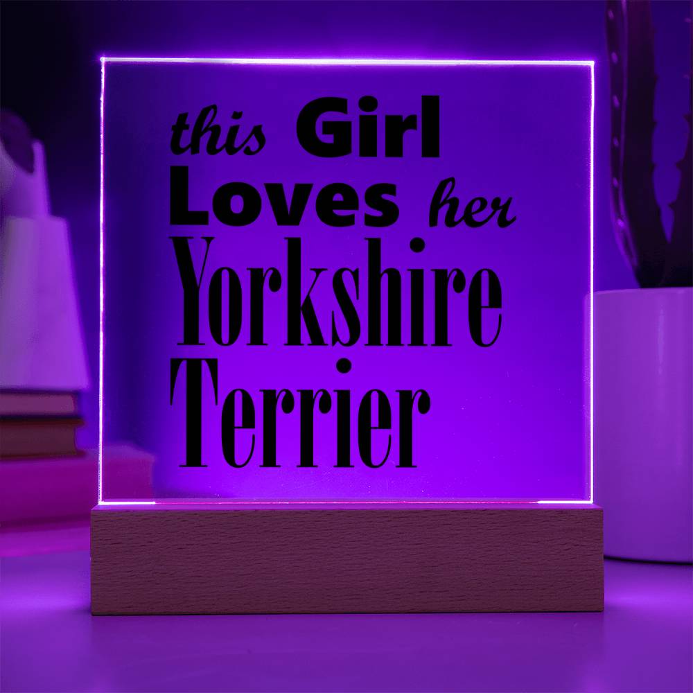 Yorkshire Terrier - Square Acrylic Plaque With LED Base